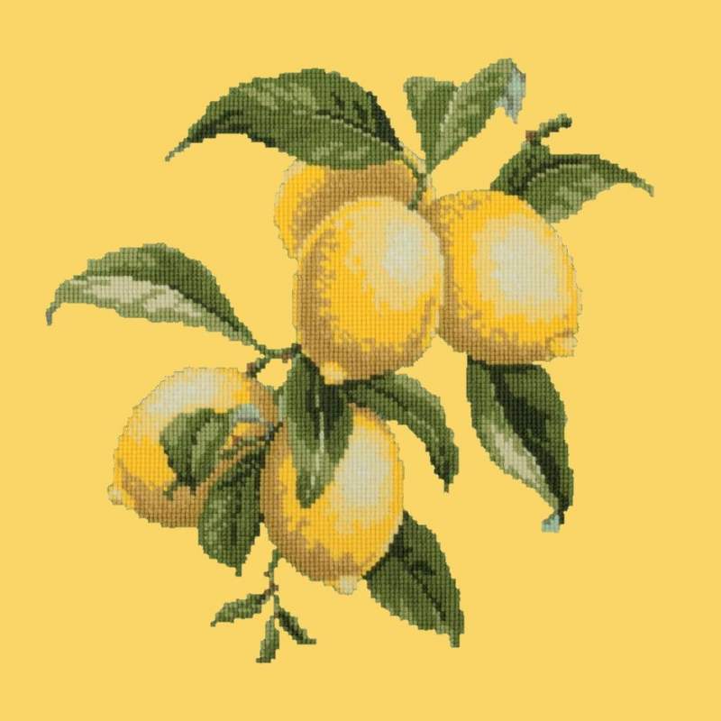 Elizabeth Bradley, Botanical Fruits, LEMONS - 16x16 pollici Elizabeth Bradley - 11