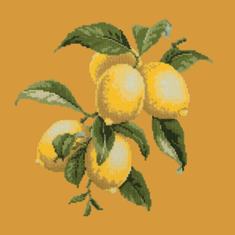 Elizabeth Bradley, Botanical Fruits, LEMONS - 16x16 pollici Elizabeth Bradley - 13 Elizabeth Bradley, Botanical Fruits, LEMONS - 16x16 pollici Elizabeth Bradley - 13