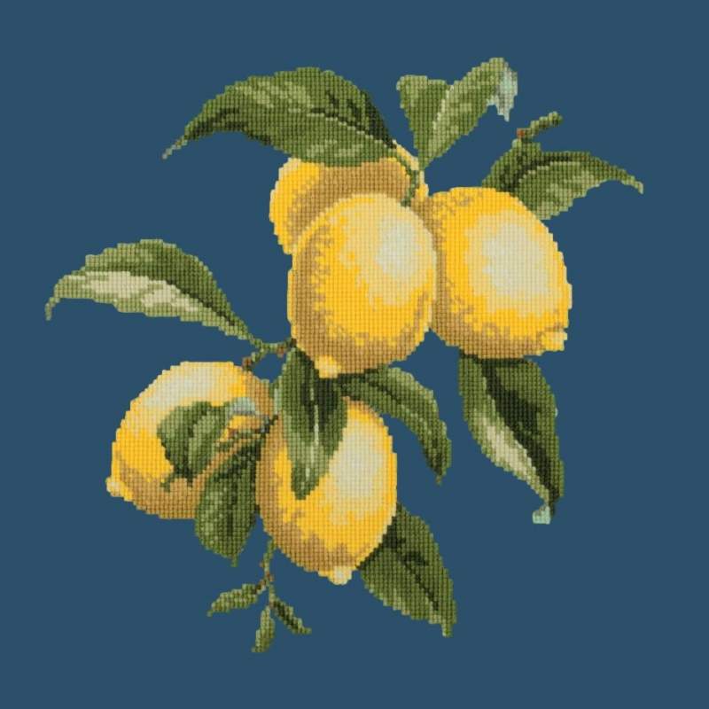Elizabeth Bradley, Botanical Fruits, LEMONS - 16x16 pollici Elizabeth Bradley - 16 Elizabeth Bradley, Botanical Fruits, LEMONS - 16x16 pollici Elizabeth Bradley - 16