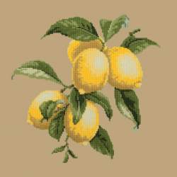 Elizabeth Bradley, Botanical Fruits, LEMONS - 16x16 pollici Elizabeth Bradley - 17