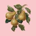 Elizabeth Bradley, Botanical Fruits, PEARS - 16x16 pollici Elizabeth Bradley - 2