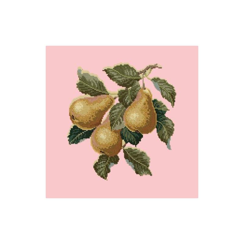 Elizabeth Bradley, Botanical Fruits, PEARS - 16x16 pollici Elizabeth Bradley - 2 Elizabeth Bradley, Botanical Fruits, PEARS - 16x16 pollici Elizabeth Bradley - 2