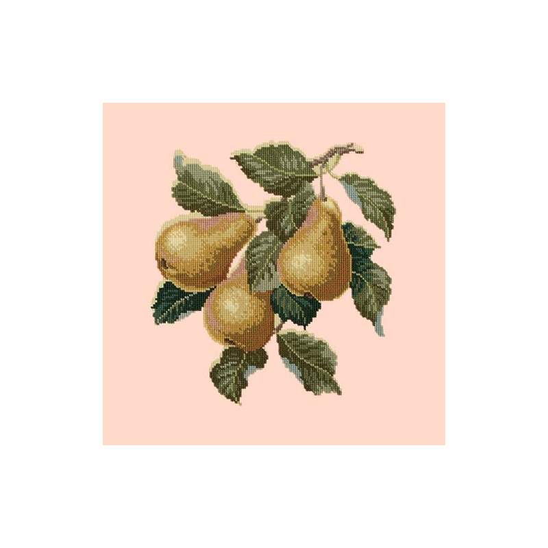 Elizabeth Bradley, Botanical Fruits, PEARS - 16x16 pollici Elizabeth Bradley - 3 Elizabeth Bradley, Botanical Fruits, PEARS - 16x16 pollici Elizabeth Bradley - 3