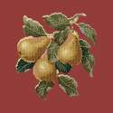 Elizabeth Bradley, Botanical Fruits, PEARS - 16x16 pollici Elizabeth Bradley - 5
