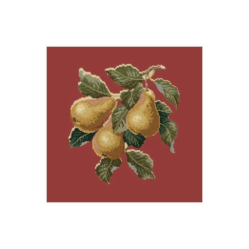 Elizabeth Bradley, Botanical Fruits, PEARS - 16x16 pollici Elizabeth Bradley - 5 Elizabeth Bradley, Botanical Fruits, PEARS - 16x16 pollici Elizabeth Bradley - 5