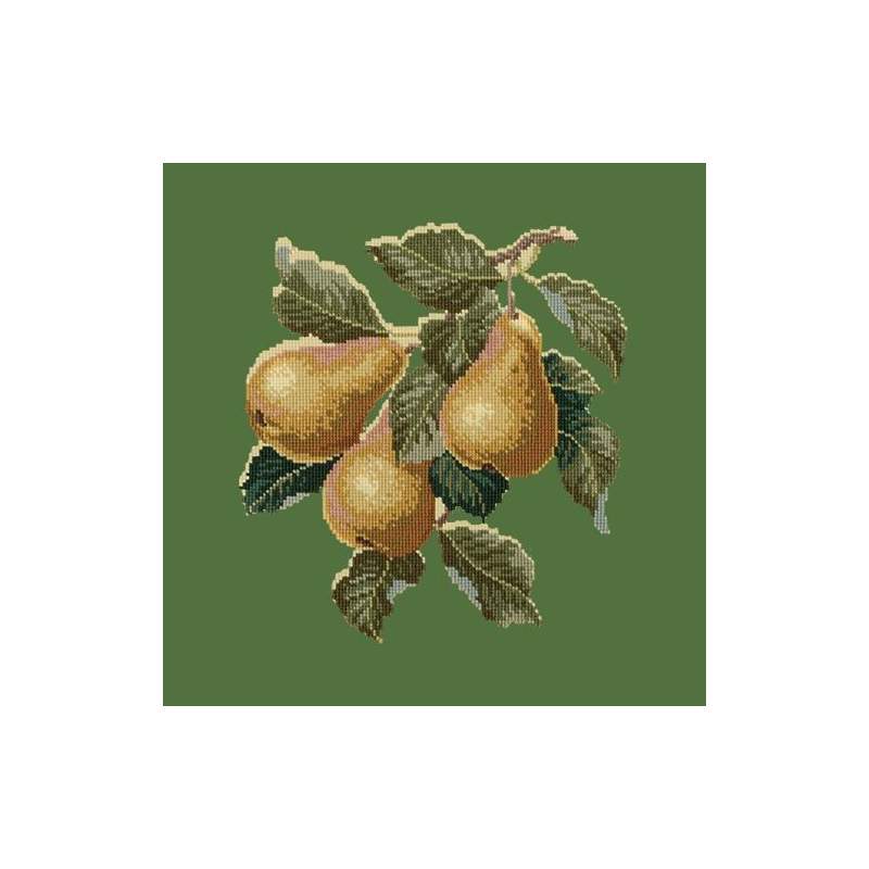 Elizabeth Bradley, Botanical Fruits, PEARS - 16x16 pollici Elizabeth Bradley - 6