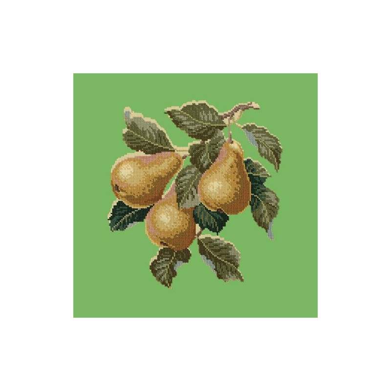 Elizabeth Bradley, Botanical Fruits, PEARS - 16x16 pollici Elizabeth Bradley - 7 Elizabeth Bradley, Botanical Fruits, PEARS - 16x16 pollici Elizabeth Bradley - 7