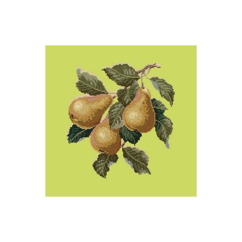 Elizabeth Bradley, Botanical Fruits, PEARS - 16x16 pollici Elizabeth Bradley - 8