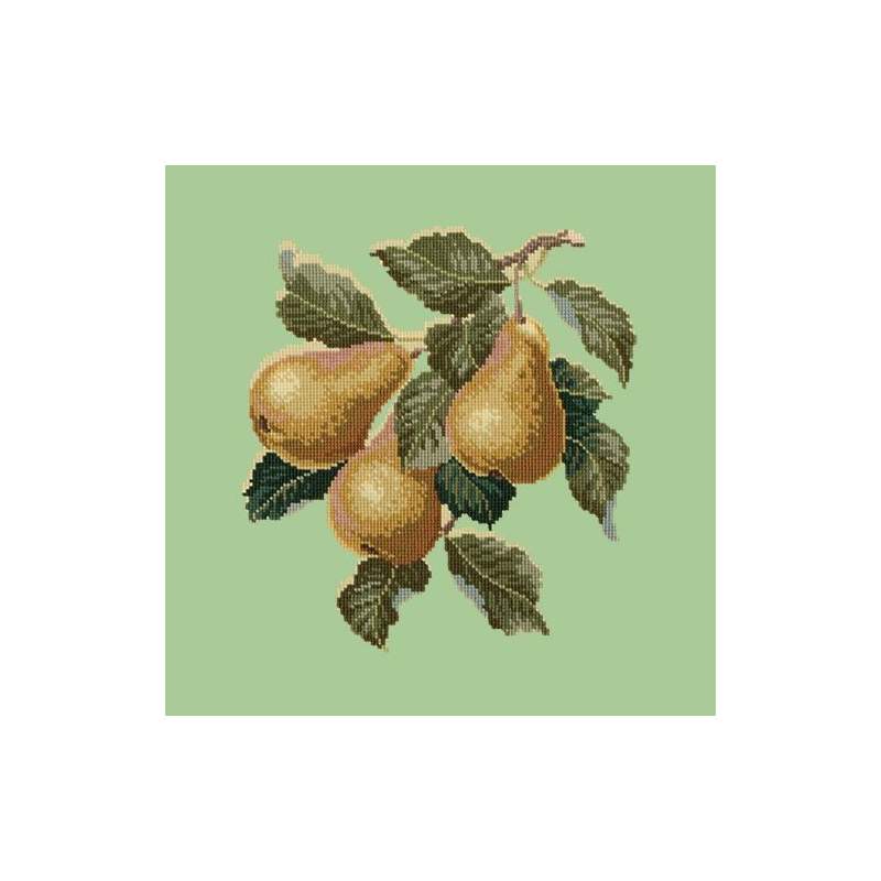Elizabeth Bradley, Botanical Fruits, PEARS - 16x16 pollici Elizabeth Bradley - 9 Elizabeth Bradley, Botanical Fruits, PEARS - 16x16 pollici Elizabeth Bradley - 9