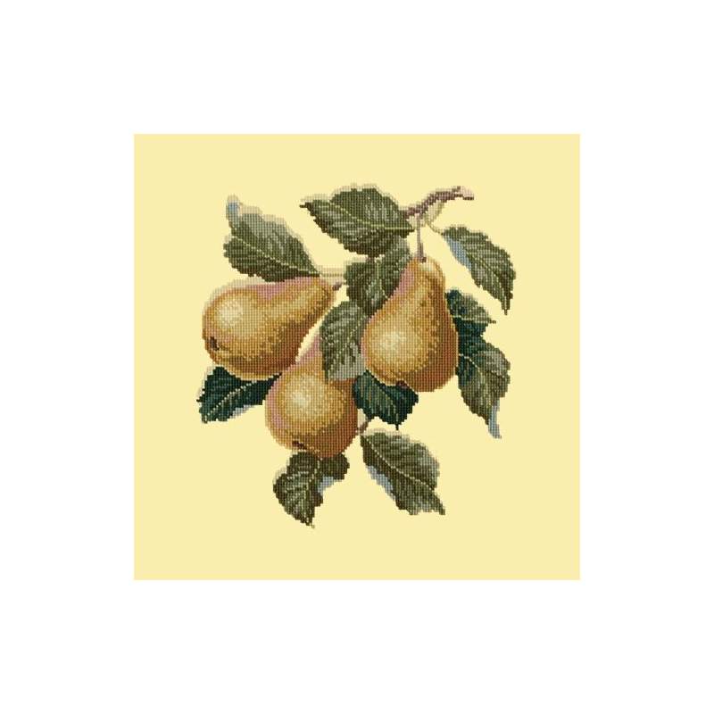Elizabeth Bradley, Botanical Fruits, PEARS - 16x16 pollici Elizabeth Bradley - 10