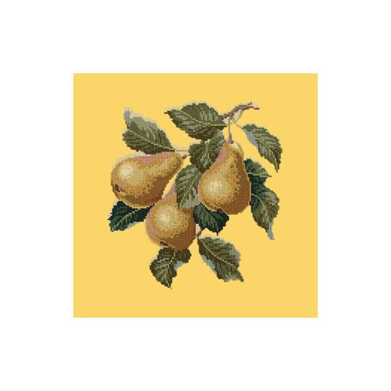 Elizabeth Bradley, Botanical Fruits, PEARS - 16x16 pollici Elizabeth Bradley - 11