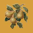Elizabeth Bradley, Botanical Fruits, PEARS - 16x16 pollici Elizabeth Bradley - 13