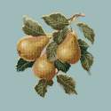 Elizabeth Bradley, Botanical Fruits, PEARS - 16x16 pollici Elizabeth Bradley - 14