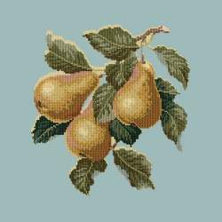 Elizabeth Bradley, Botanical Fruits, PEARS - 16x16 pollici Elizabeth Bradley - 14