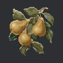 Elizabeth Bradley, Botanical Fruits, PEARS - 16x16 pollici Elizabeth Bradley - 18
