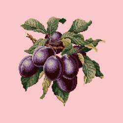 Elizabeth Bradley, Botanical Fruits, PLUMS - 16x16 pollici Elizabeth Bradley - 2