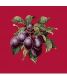 Elizabeth Bradley, Botanical Fruits, PLUMS - 16x16 pollici Elizabeth Bradley - 4