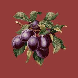 Elizabeth Bradley, Botanical Fruits, PLUMS - 16x16 pollici Elizabeth Bradley - 5