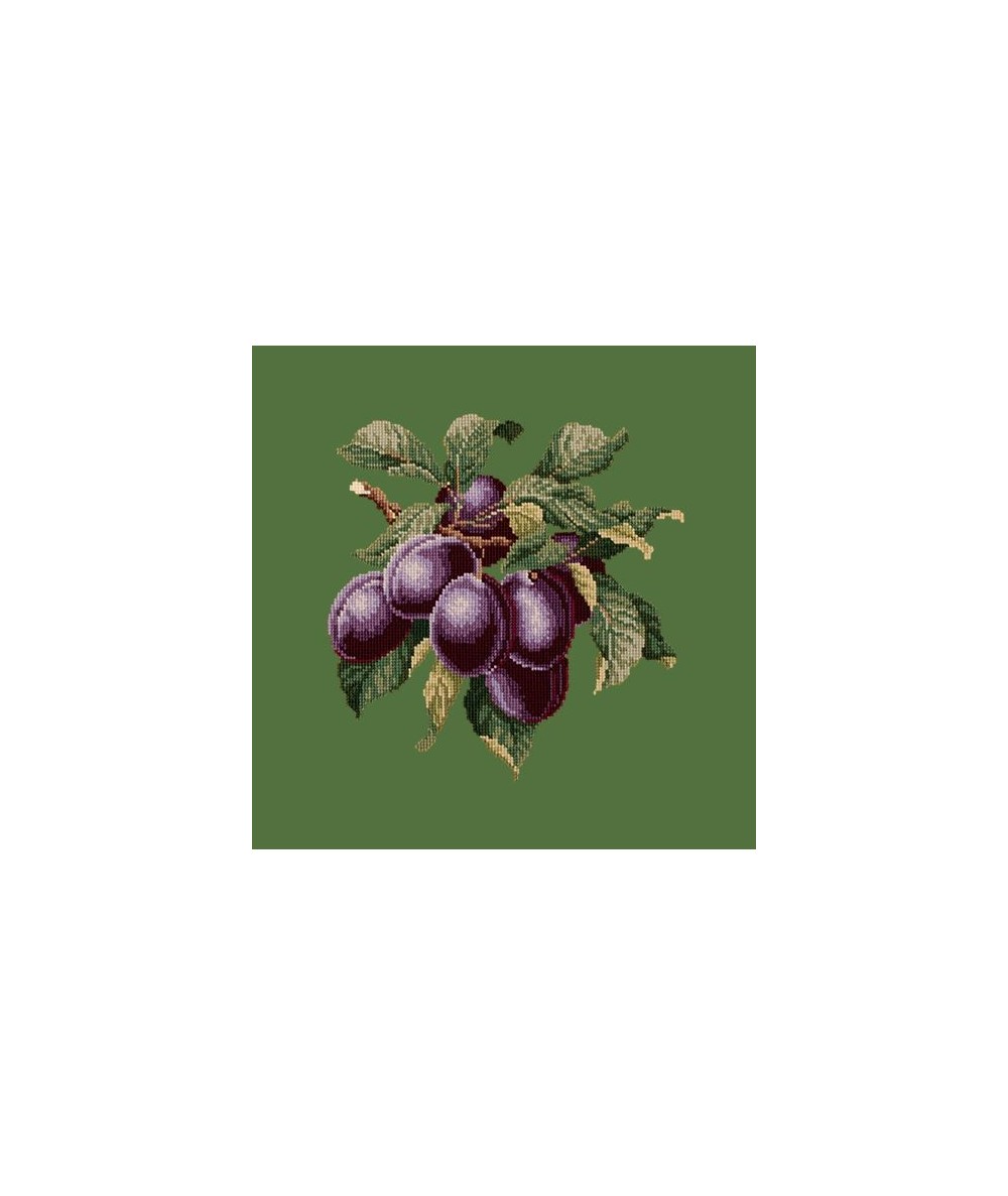 Elizabeth Bradley, Botanical Fruits, PLUMS - 16x16 pollici Elizabeth Bradley - 6 Elizabeth Bradley, Botanical Fruits, PLUMS - 16x16 pollici Elizabeth Bradley - 6