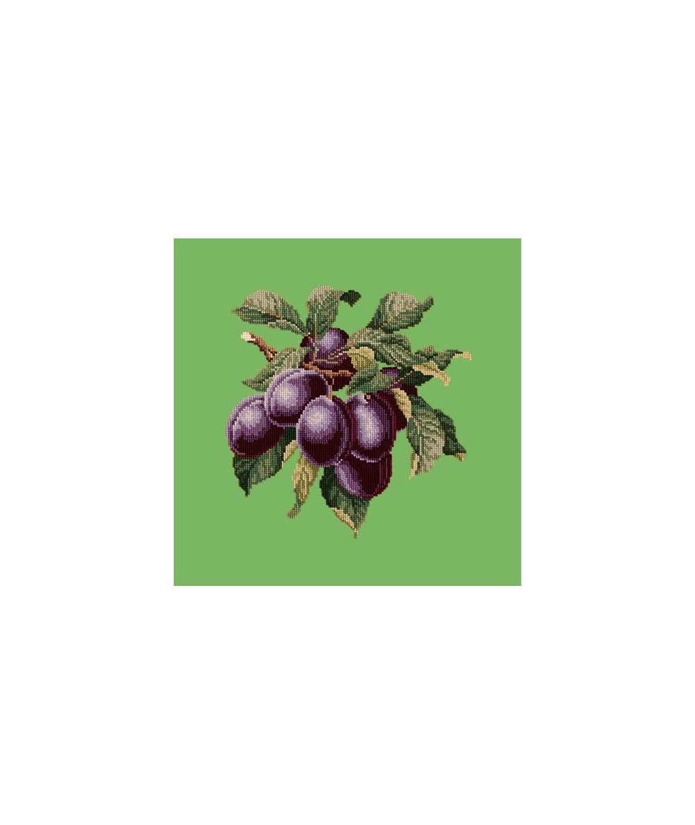 Elizabeth Bradley, Botanical Fruits, PLUMS - 16x16 pollici Elizabeth Bradley - 7 Elizabeth Bradley, Botanical Fruits, PLUMS - 16x16 pollici Elizabeth Bradley - 7