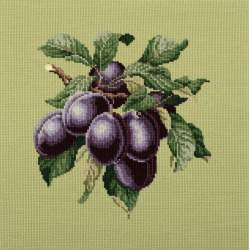 Elizabeth Bradley, Botanical Fruits, PLUMS - 16x16 pollici Elizabeth Bradley - 8
