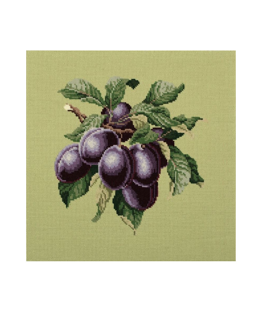 Elizabeth Bradley, Botanical Fruits, PLUMS - 16x16 pollici Elizabeth Bradley - 8