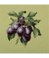 Elizabeth Bradley, Botanical Fruits, PLUMS - 16x16 pollici Elizabeth Bradley - 8