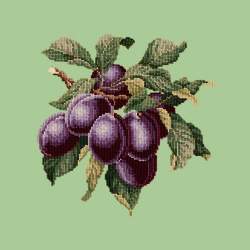 Elizabeth Bradley, Botanical Fruits, PLUMS - 16x16 pollici Elizabeth Bradley - 9