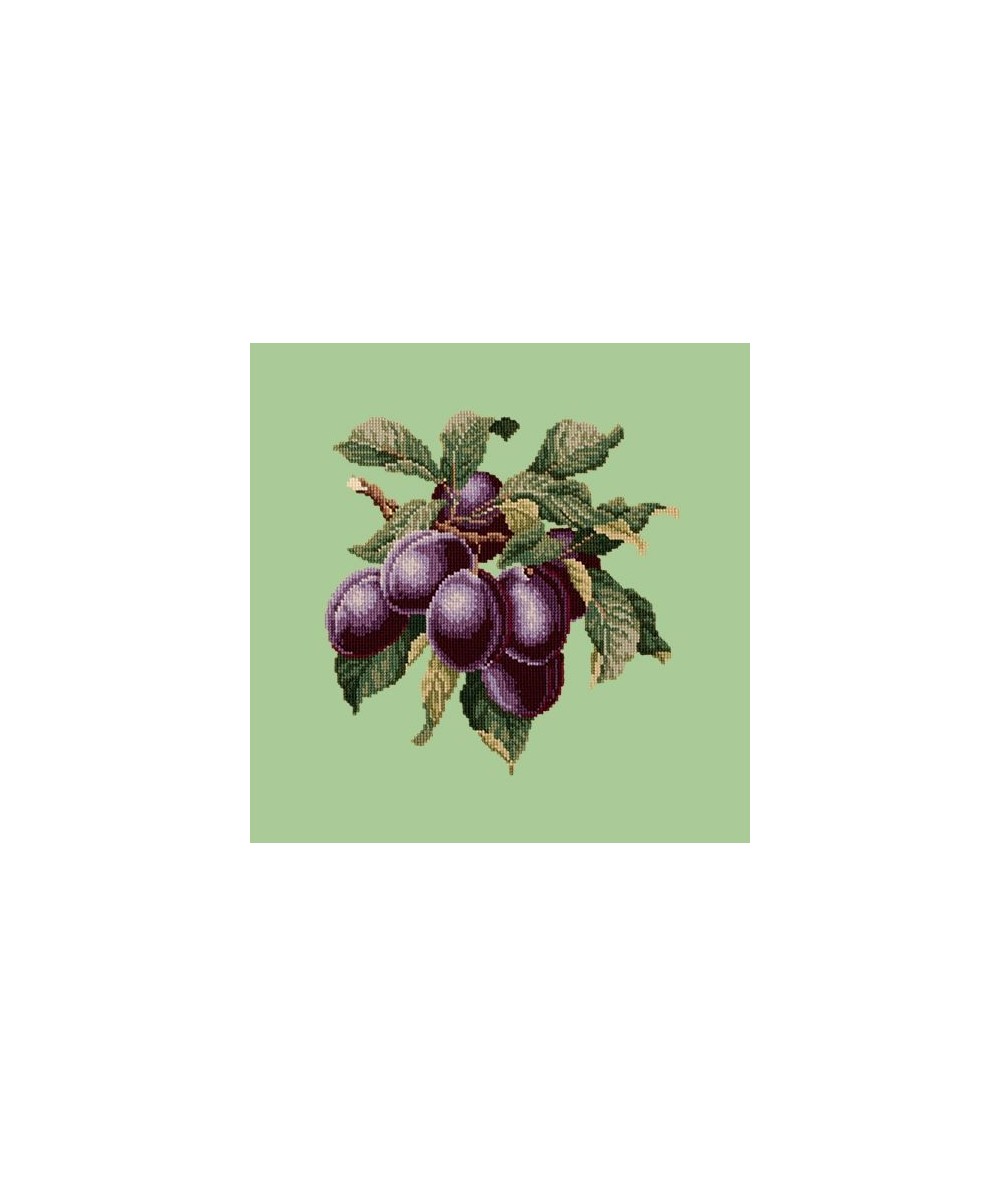 Elizabeth Bradley, Botanical Fruits, PLUMS - 16x16 pollici Elizabeth Bradley - 9 Elizabeth Bradley, Botanical Fruits, PLUMS - 16x16 pollici Elizabeth Bradley - 9