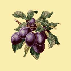 Elizabeth Bradley, Botanical Fruits, PLUMS - 16x16 pollici Elizabeth Bradley - 10