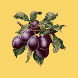 Elizabeth Bradley, Botanical Fruits, PLUMS - 16x16 pollici Elizabeth Bradley - 11