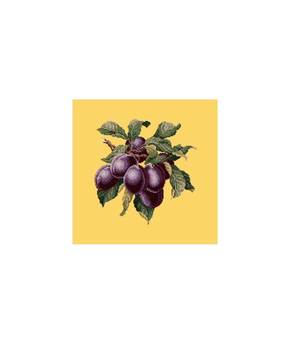 Elizabeth Bradley, Botanical Fruits, PLUMS - 16x16 pollici Elizabeth Bradley - 11 Elizabeth Bradley, Botanical Fruits, PLUMS - 16x16 pollici Elizabeth Bradley - 11