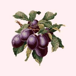 Elizabeth Bradley, Botanical Fruits, PLUMS - 16x16 pollici Elizabeth Bradley - 12