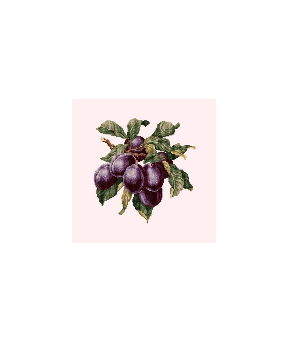 Elizabeth Bradley, Botanical Fruits, PLUMS - 16x16 pollici Elizabeth Bradley - 12 Elizabeth Bradley, Botanical Fruits, PLUMS - 16x16 pollici Elizabeth Bradley - 12