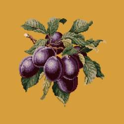 Elizabeth Bradley, Botanical Fruits, PLUMS - 16x16 pollici Elizabeth Bradley - 13