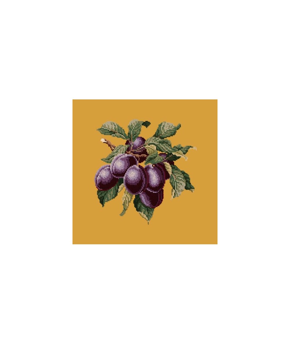 Elizabeth Bradley, Botanical Fruits, PLUMS - 16x16 pollici Elizabeth Bradley - 13 Elizabeth Bradley, Botanical Fruits, PLUMS - 16x16 pollici Elizabeth Bradley - 13