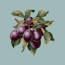 Elizabeth Bradley, Botanical Fruits, PLUMS - 16x16 pollici Elizabeth Bradley - 14