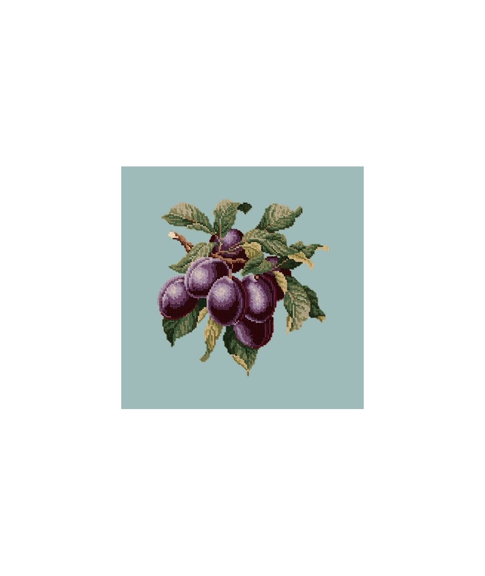 Elizabeth Bradley, Botanical Fruits, PLUMS - 16x16 pollici Elizabeth Bradley - 14 Elizabeth Bradley, Botanical Fruits, PLUMS - 16x16 pollici Elizabeth Bradley - 14