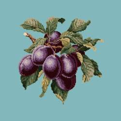 Elizabeth Bradley, Botanical Fruits, PLUMS - 16x16 pollici Elizabeth Bradley - 15