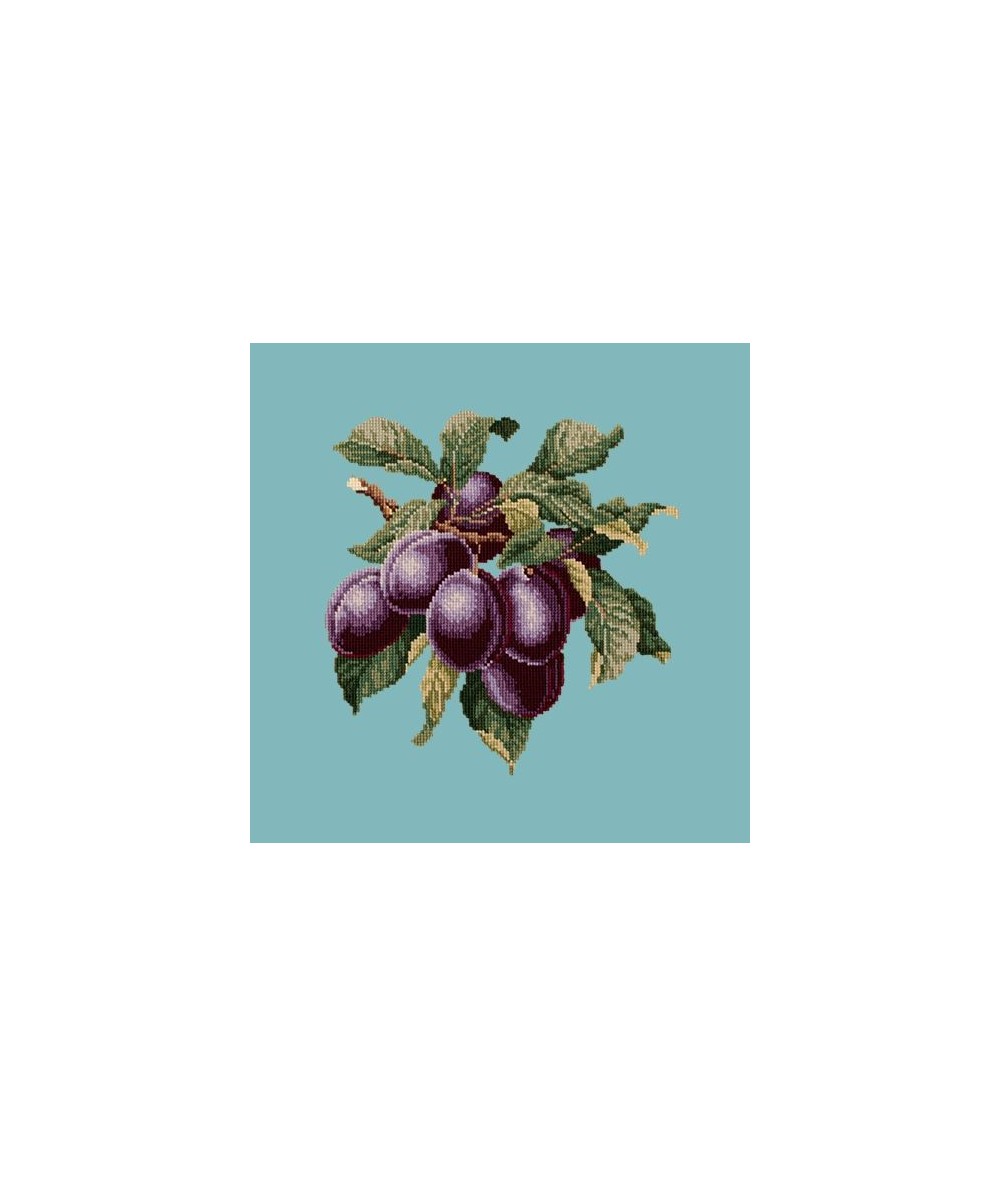 Elizabeth Bradley, Botanical Fruits, PLUMS - 16x16 pollici Elizabeth Bradley - 15