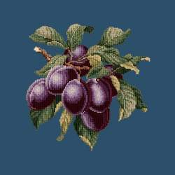 Elizabeth Bradley, Botanical Fruits, PLUMS - 16x16 pollici Elizabeth Bradley - 16
