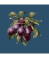 Elizabeth Bradley, Botanical Fruits, PLUMS - 16x16 pollici Elizabeth Bradley - 16