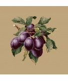 Elizabeth Bradley, Botanical Fruits, PLUMS - 16x16 pollici Elizabeth Bradley - 17