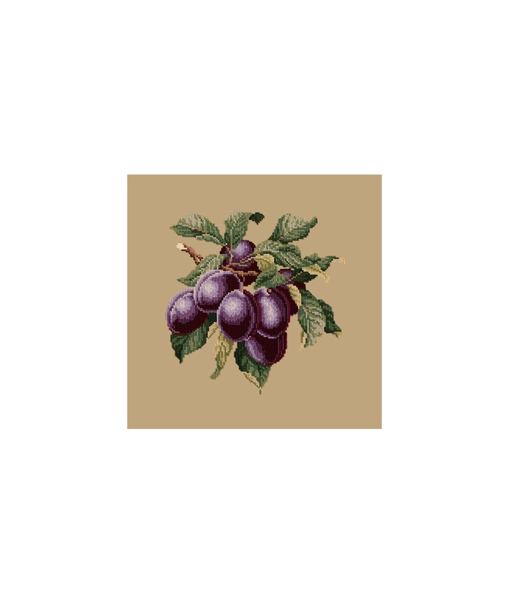 Elizabeth Bradley, Botanical Fruits, PLUMS - 16x16 pollici Elizabeth Bradley - 17