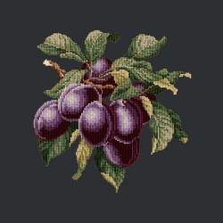 Elizabeth Bradley, Botanical Fruits, PLUMS - 16x16 pollici Elizabeth Bradley - 18