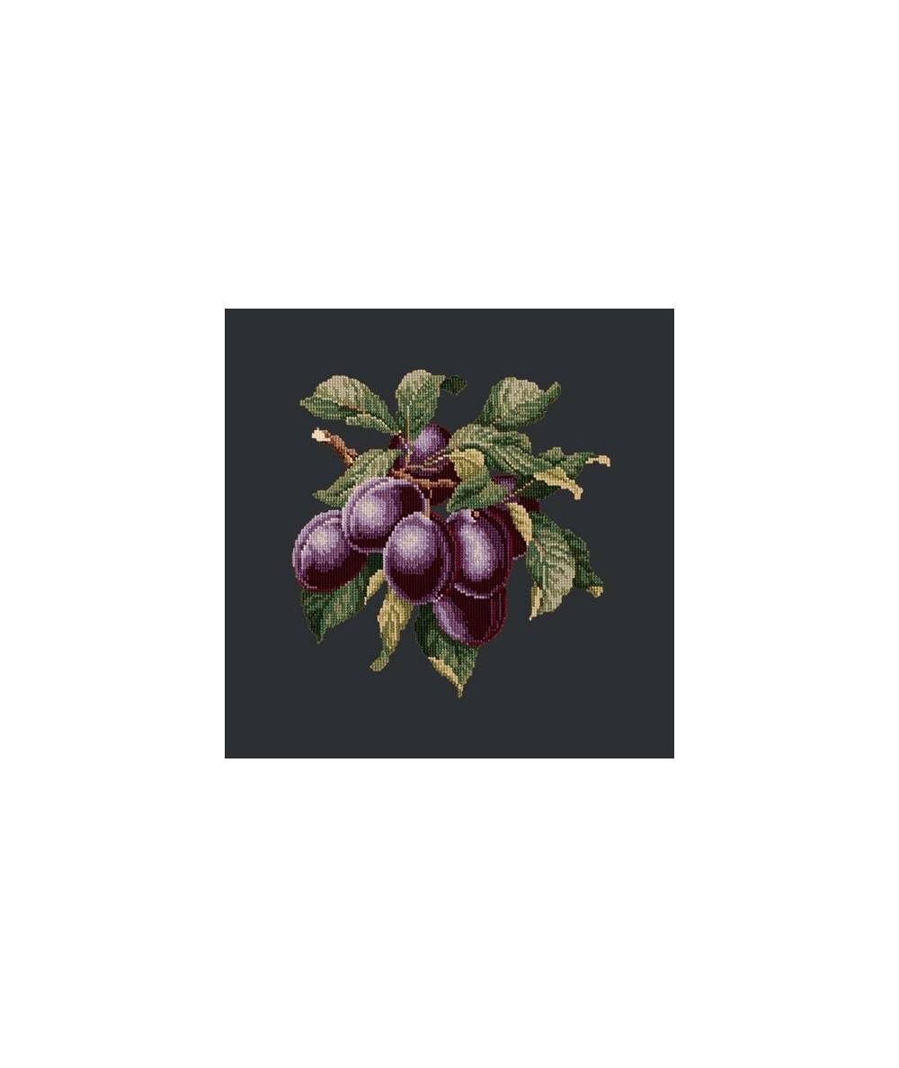 Elizabeth Bradley, Botanical Fruits, PLUMS - 16x16 pollici Elizabeth Bradley - 18