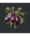 Elizabeth Bradley, Botanical Fruits, PLUMS - 16x16 pollici Elizabeth Bradley - 18