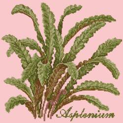 Elizabeth Bradley, Shade Garden, ASPLENIUM - 16x16 pollici Elizabeth Bradley - 2