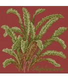 Elizabeth Bradley, Shade Garden, ASPLENIUM - 16x16 pollici Elizabeth Bradley - 5