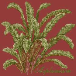 Elizabeth Bradley, Shade Garden, ASPLENIUM - 16x16 pollici Elizabeth Bradley - 5